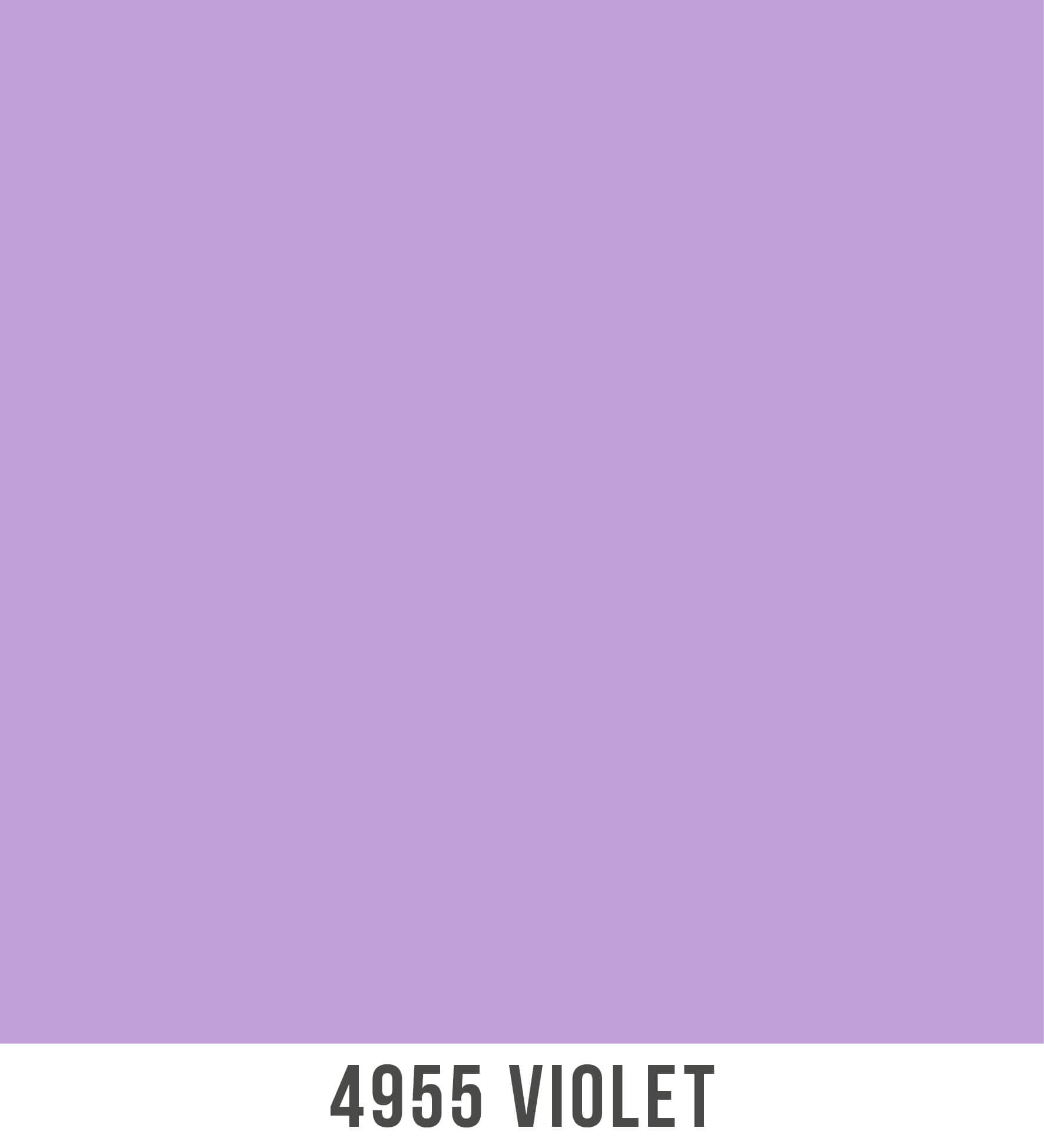4955 4955