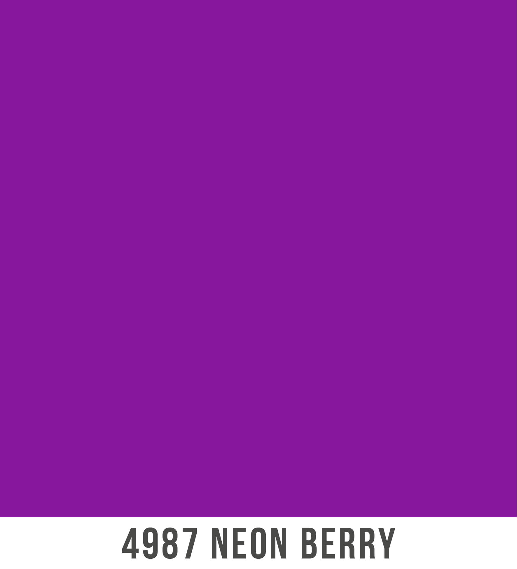 4987 4987
